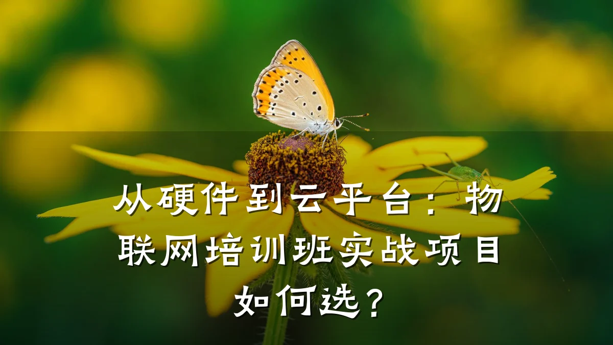 从硬件到云平台：物联网培训班实战项目如何选？