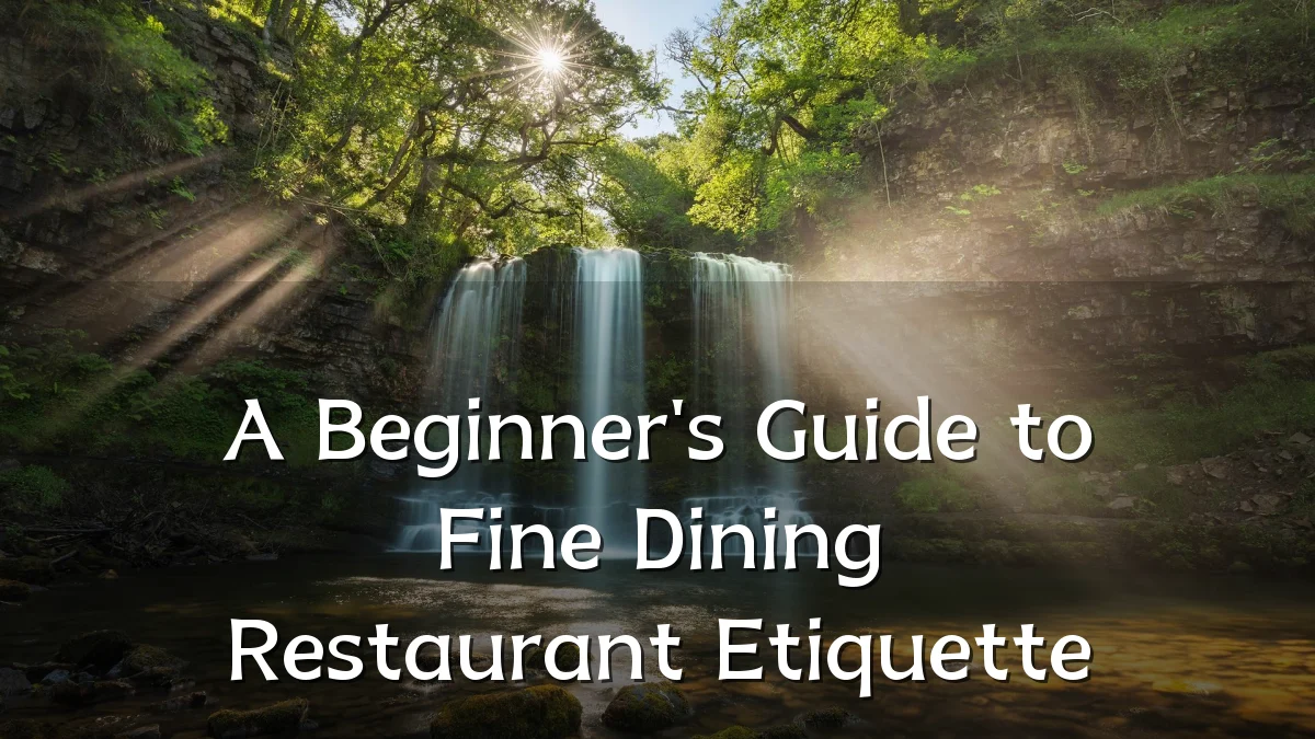 A Beginner's Guide to Fine Dining Restaurant Etiquette