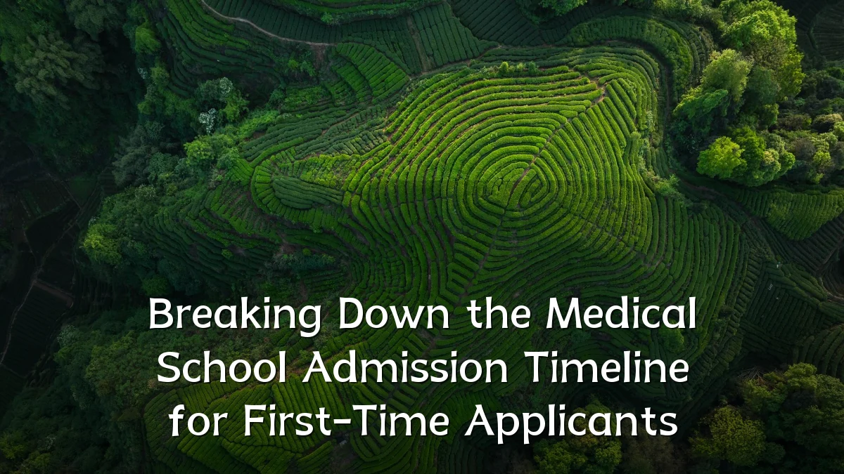 Breaking Down the Medical School Admission Timeline for First-Time Applicants