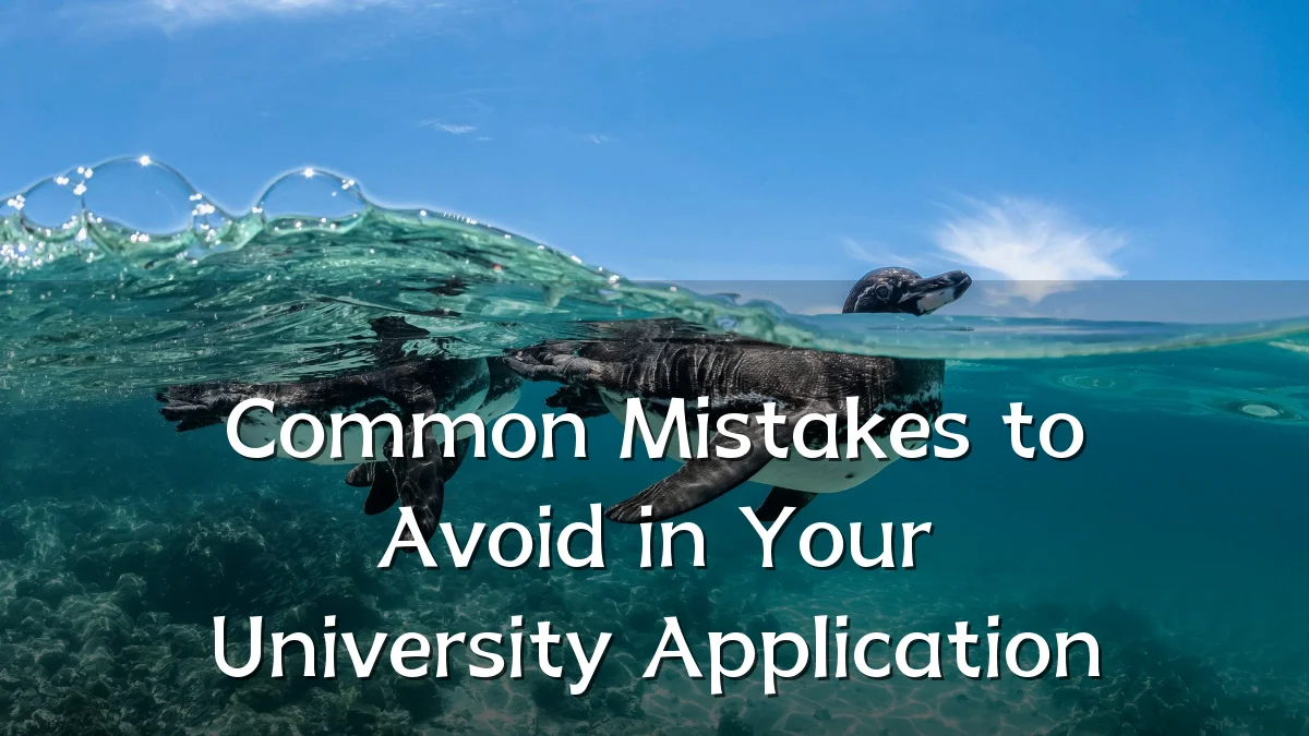 Common Mistakes to Avoid in Your University Application