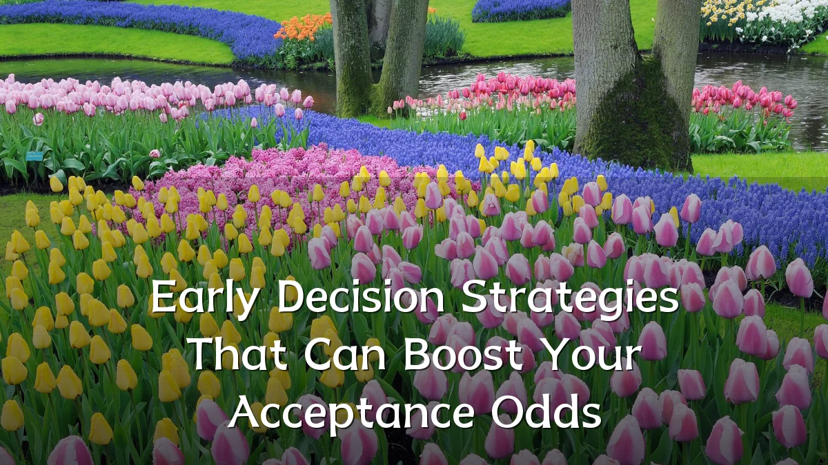 Early Decision Strategies That Can Boost Your Acceptance Odds