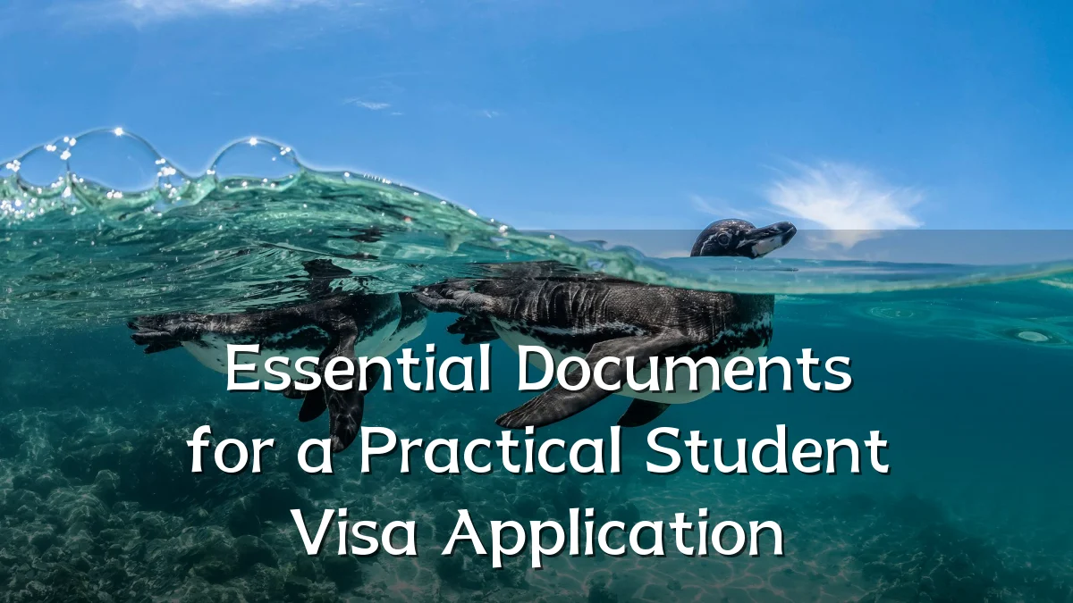 Essential Documents for a Practical Student Visa Application