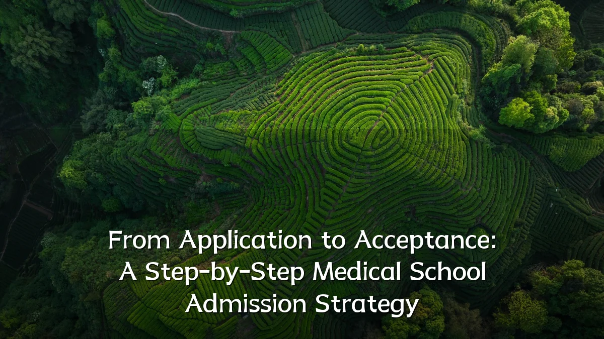From Application to Acceptance: A Step-by-Step Medical School Admission Strategy