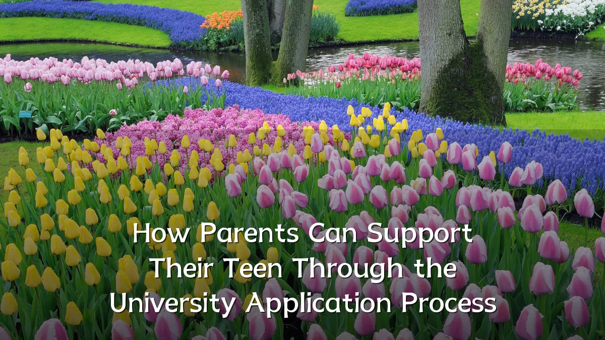 How Parents Can Support Their Teen Through the University Application Process