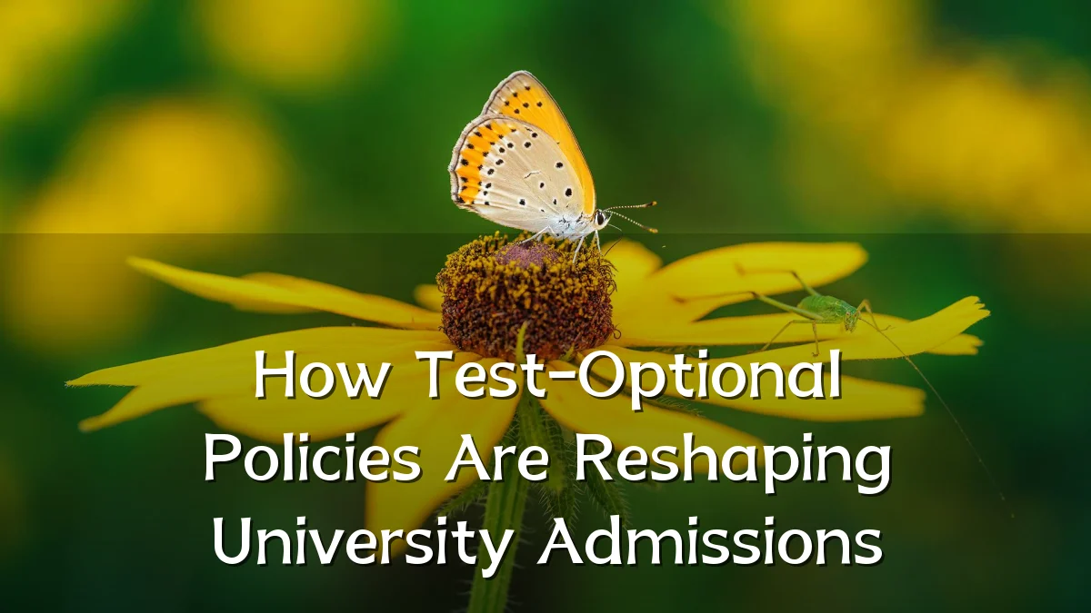 How Test-Optional Policies Are Reshaping University Admissions