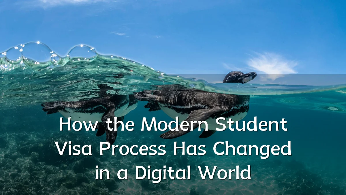 How the Modern Student Visa Process Has Changed in a Digital World