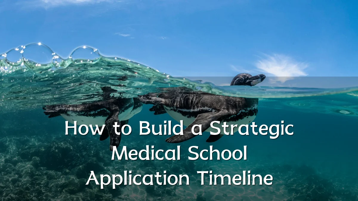 How to Build a Strategic Medical School Application Timeline