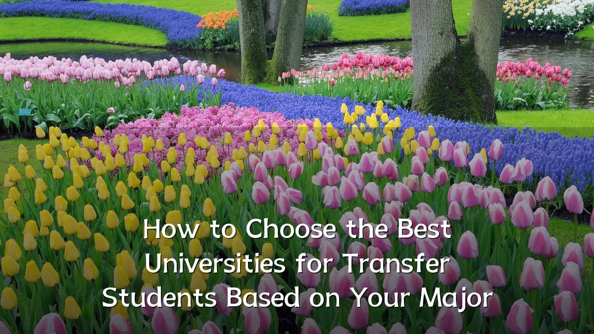 How to Choose the Best Universities for Transfer Students Based on Your Major