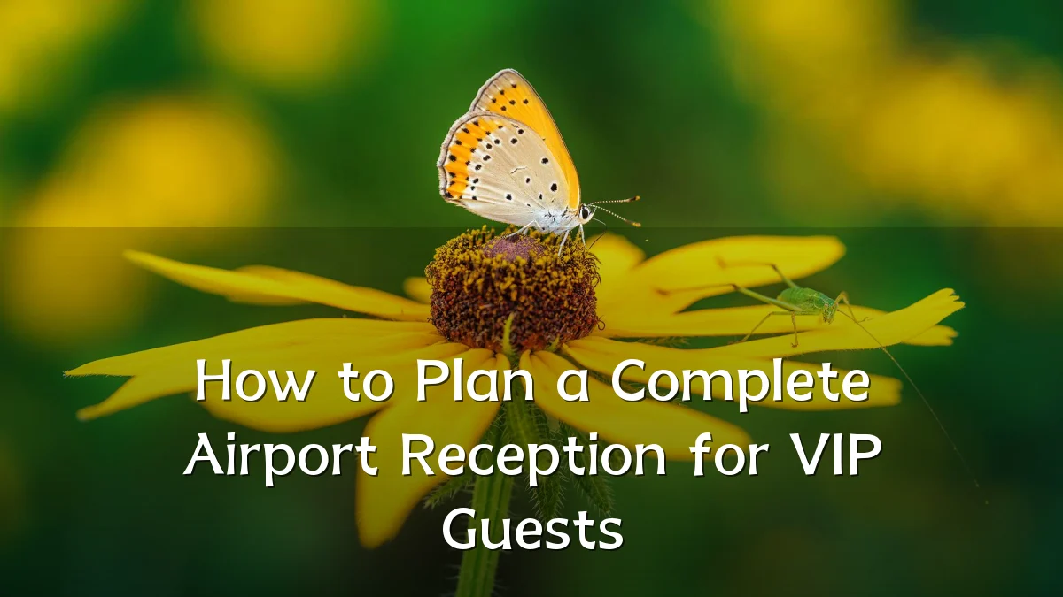 How to Plan a Complete Airport Reception for VIP Guests