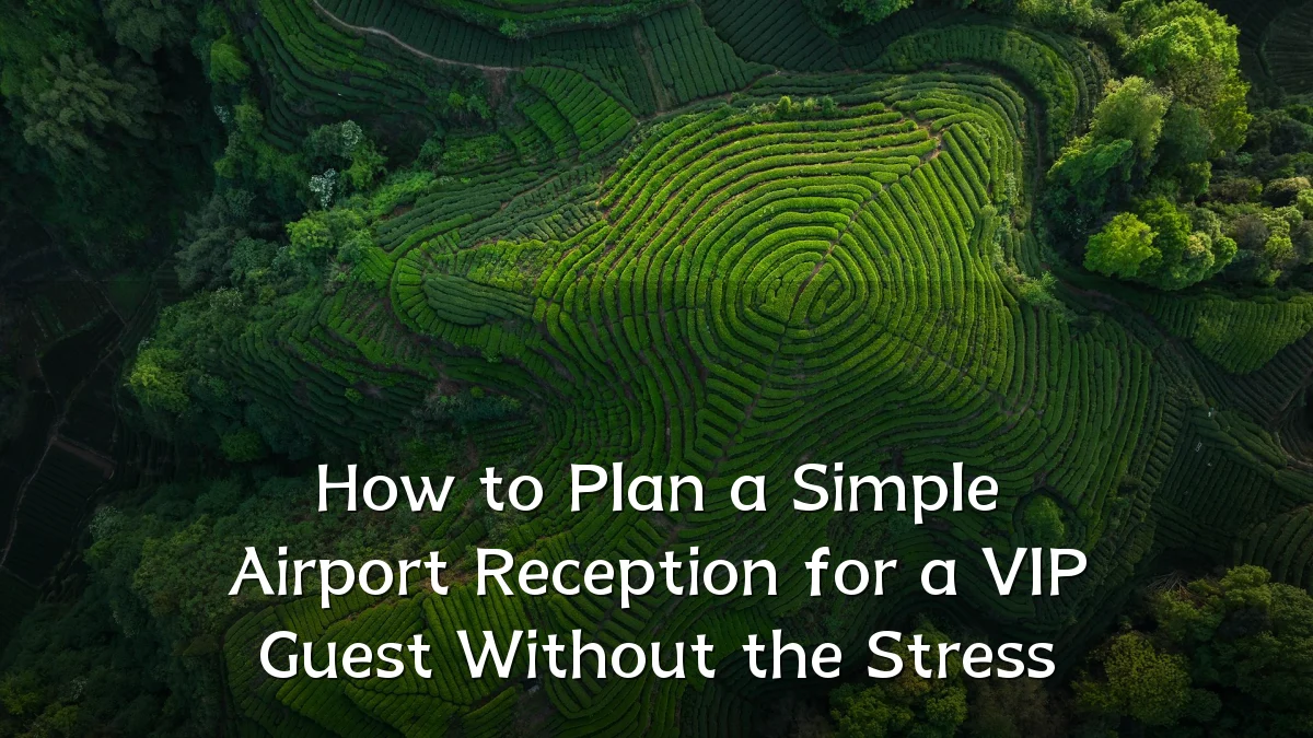 How to Plan a Simple Airport Reception for a VIP Guest Without the Stress