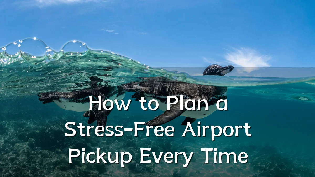 How to Plan a Stress-Free Airport Pickup Every Time