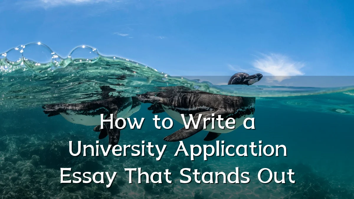 How to Write a University Application Essay That Stands Out