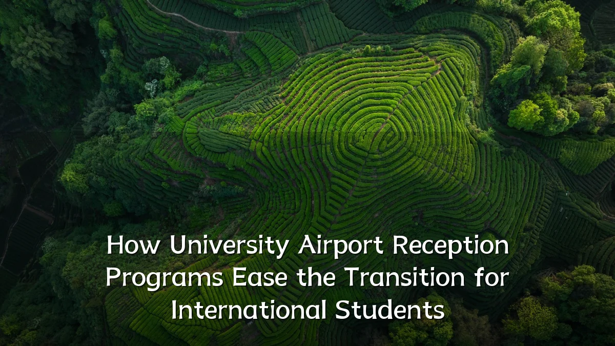 How University Airport Reception Programs Ease the Transition for International Students