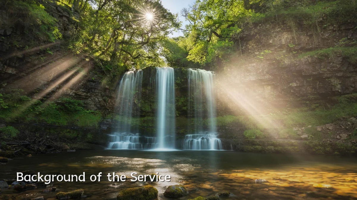 Background of the Service