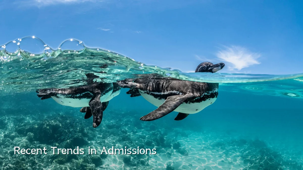 Recent Trends in Admissions