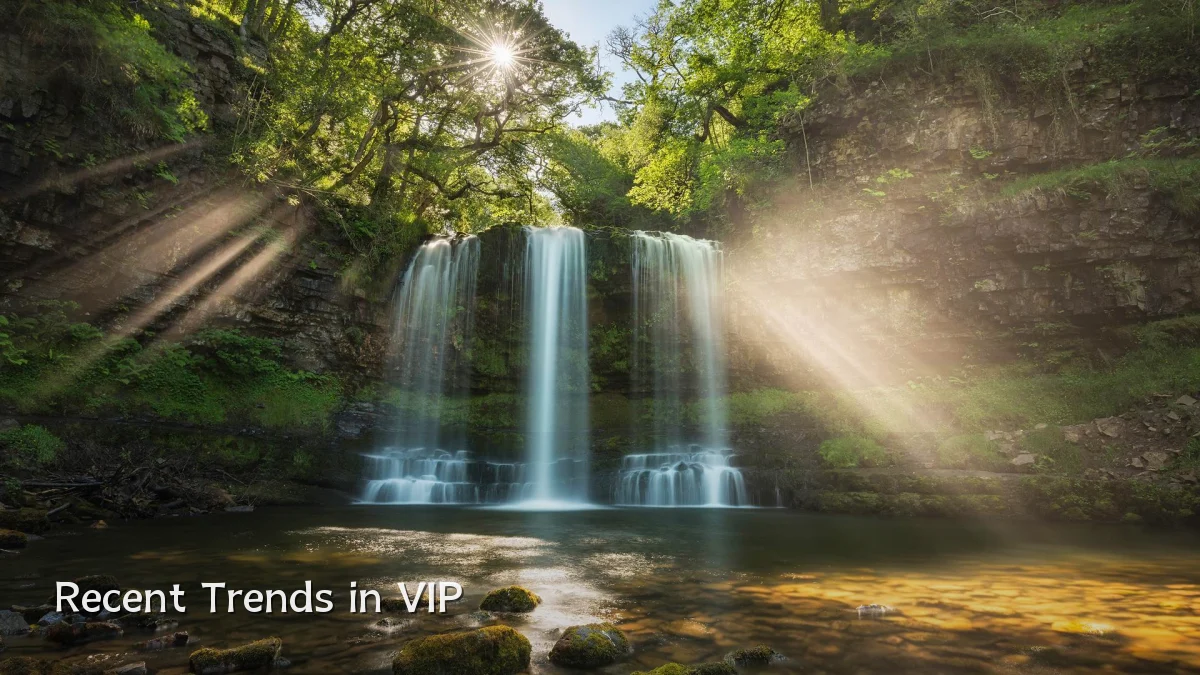 Recent Trends in VIP