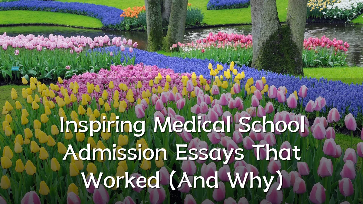 Inspiring Medical School Admission Essays That Worked (And Why)