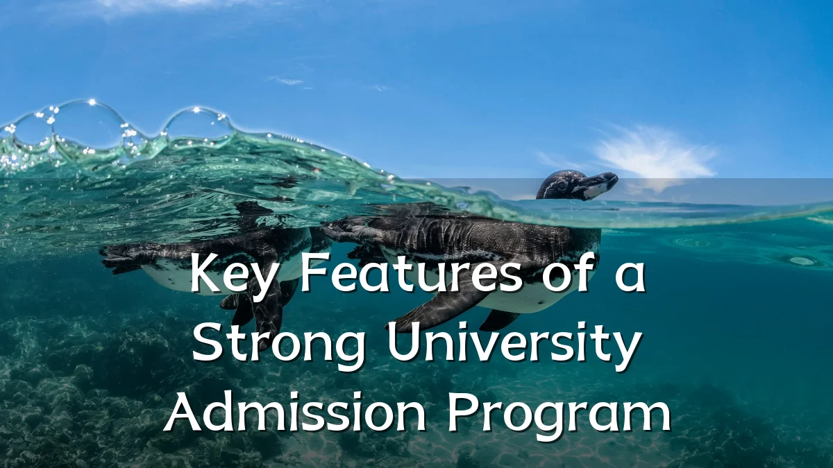 Key Features of a Strong University Admission Program