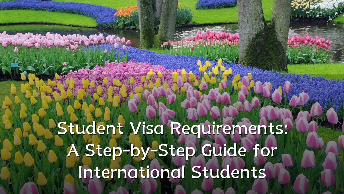 Student Visa Requirements: A Step-by-Step Guide for International Students