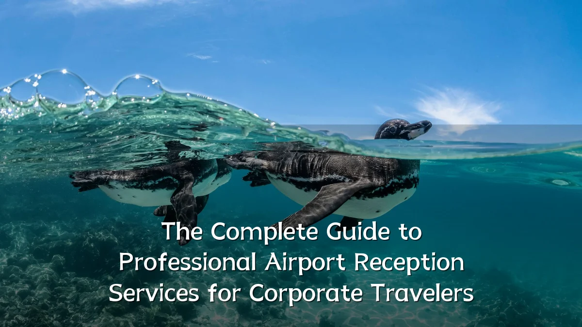 The Complete Guide to Professional Airport Reception Services for Corporate Travelers