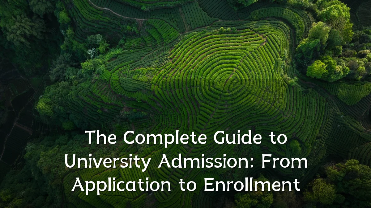 The Complete Guide to University Admission: From Application to Enrollment
