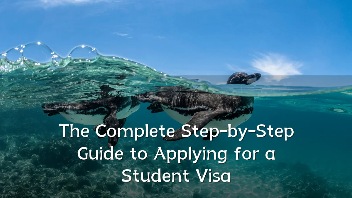 The Complete Step-by-Step Guide to Applying for a Student Visa