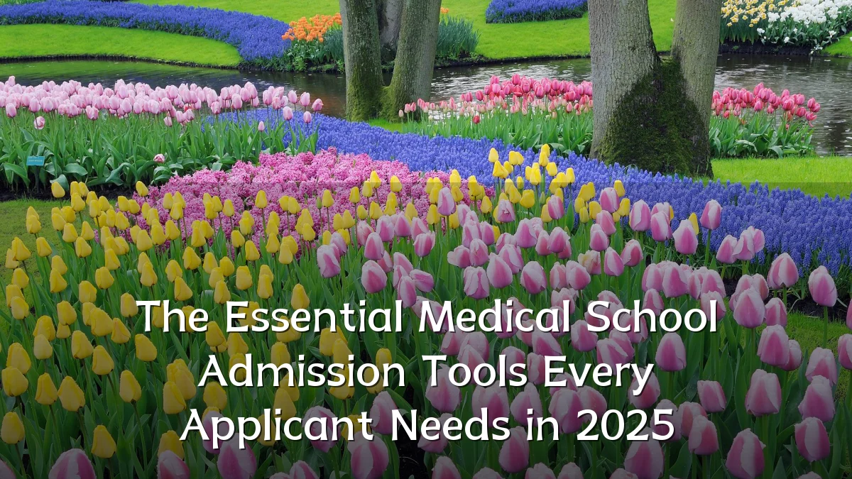 The Essential Medical School Admission Tools Every Applicant Needs in 2025
