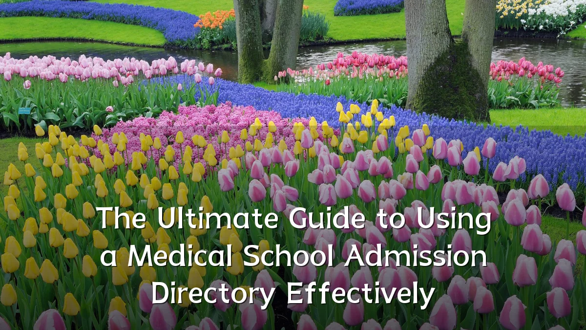 The Ultimate Guide to Using a Medical School Admission Directory Effectively
