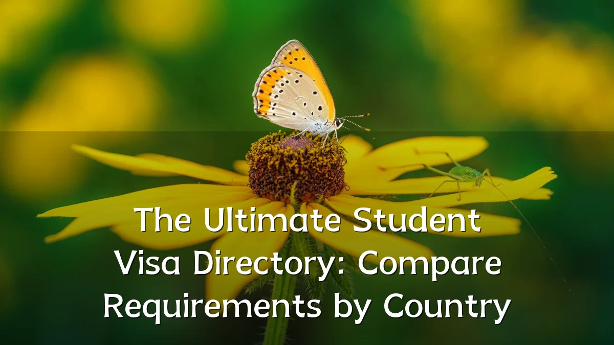 The Ultimate Student Visa Directory: Compare Requirements by Country