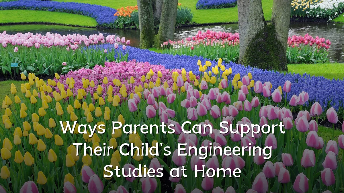 Ways Parents Can Support Their Child's Engineering Studies at Home