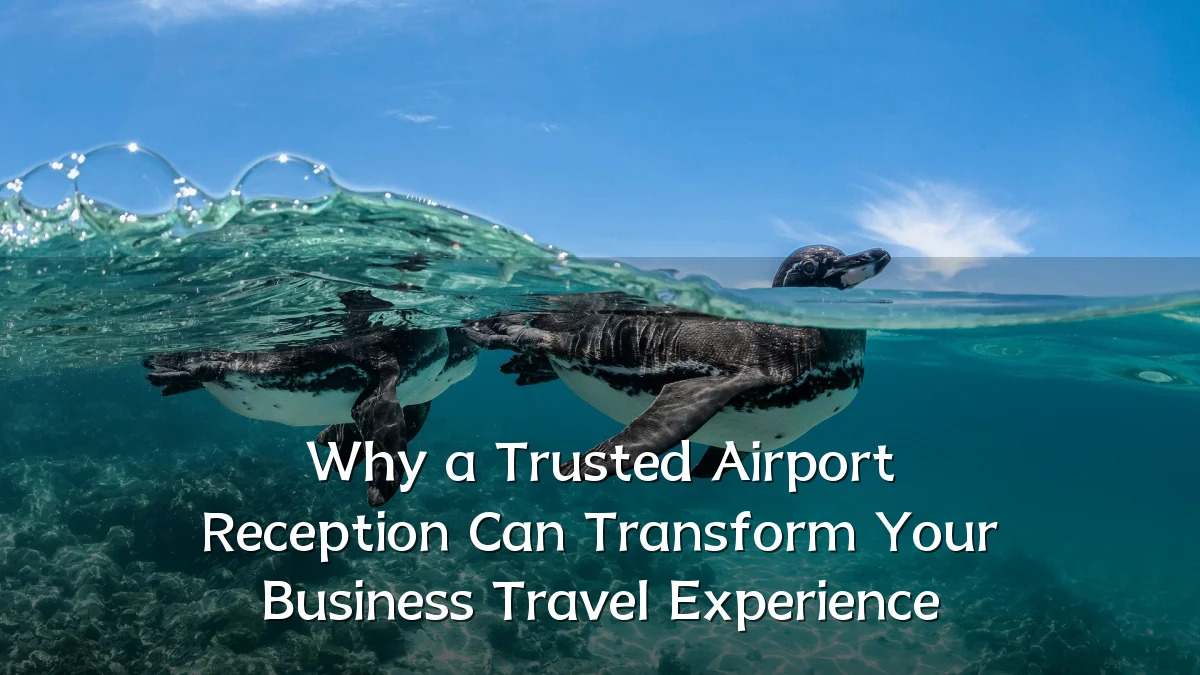 Why a Trusted Airport Reception Can Transform Your Business Travel Experience
