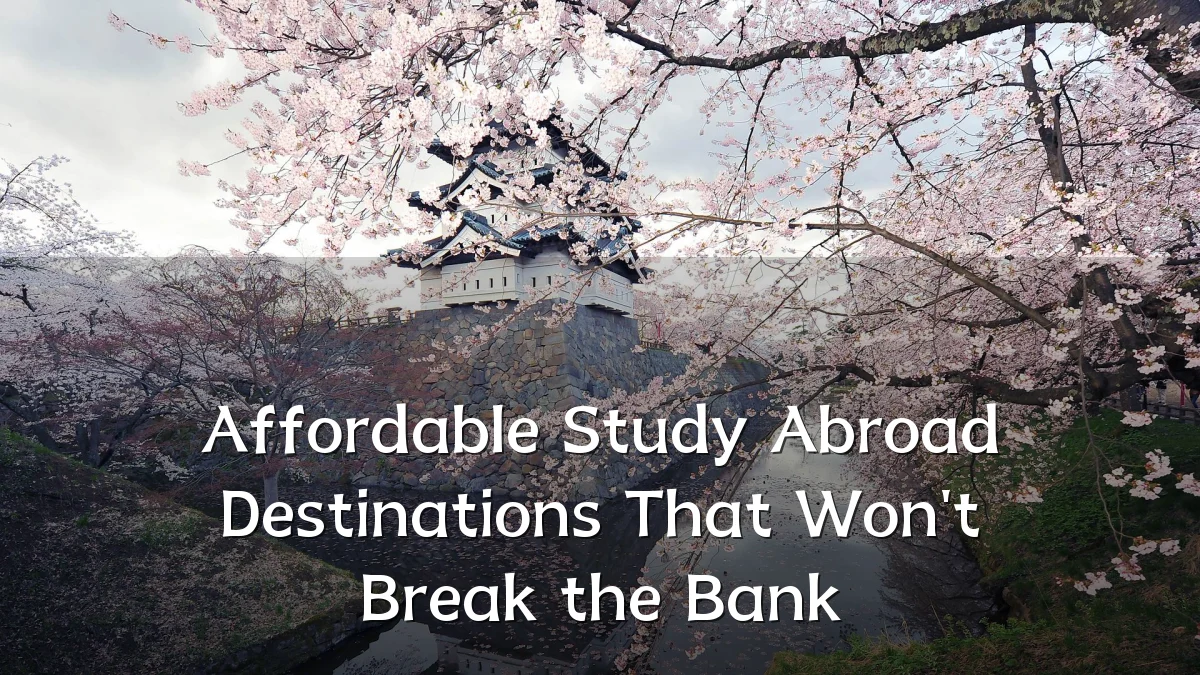 Affordable Study Abroad Destinations That Won't Break the Bank