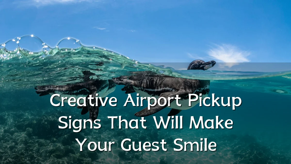 Creative Airport Pickup Signs That Will Make Your Guest Smile