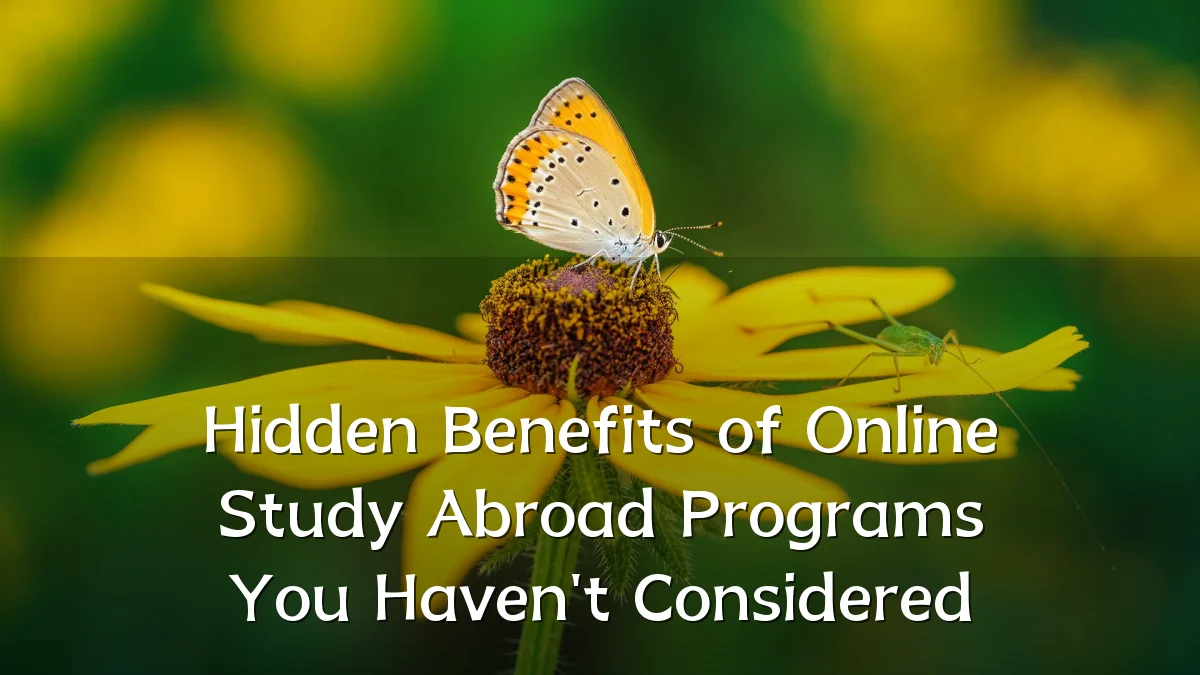 Hidden Benefits of Online Study Abroad Programs You Haven't Considered