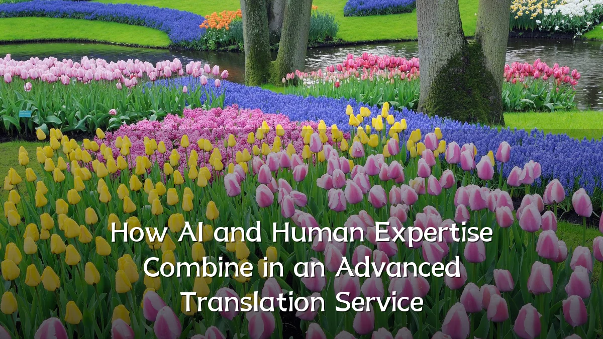 How AI and Human Expertise Combine in an Advanced Translation Service