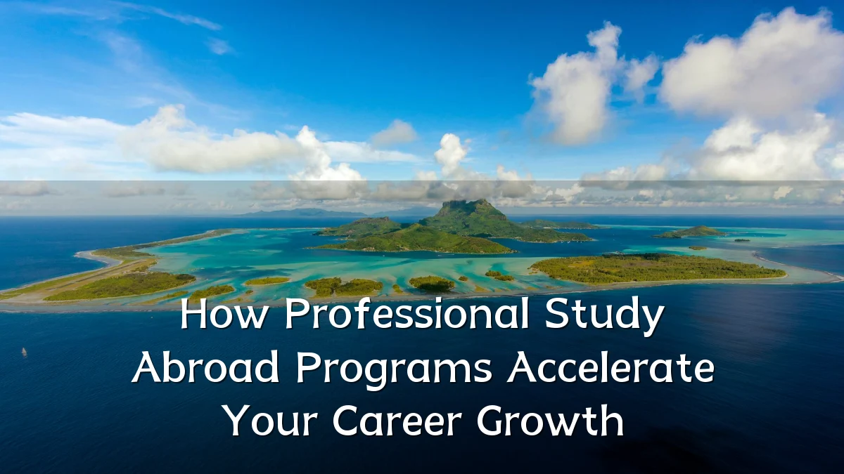 How Professional Study Abroad Programs Accelerate Your Career Growth