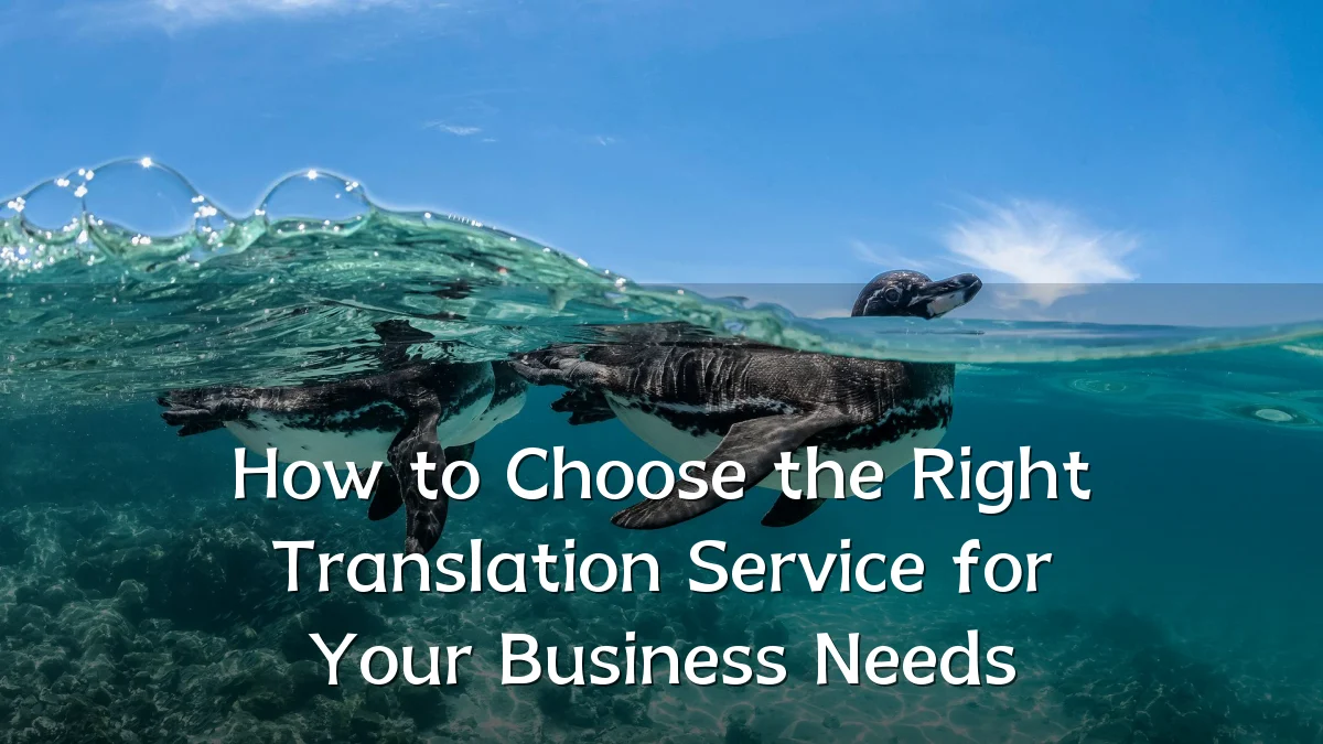 How to Choose the Right Translation Service for Your Business Needs