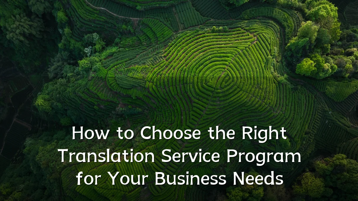 How to Choose the Right Translation Service Program for Your Business Needs