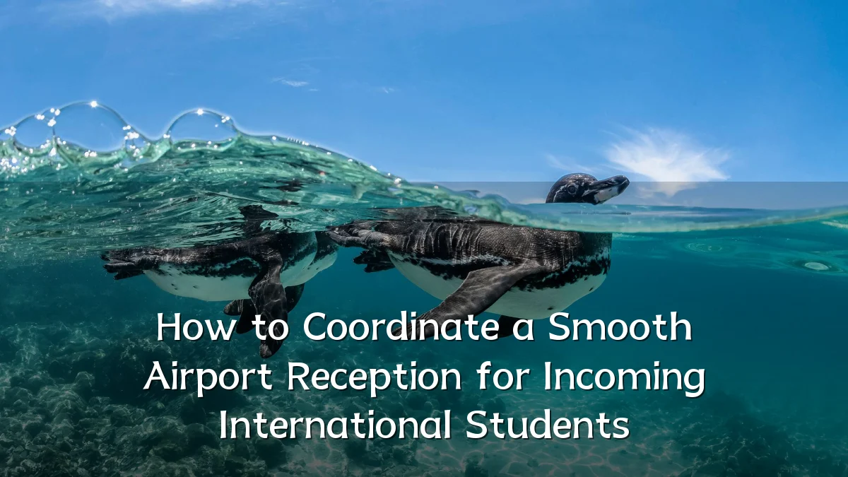How to Coordinate a Smooth Airport Reception for Incoming International Students