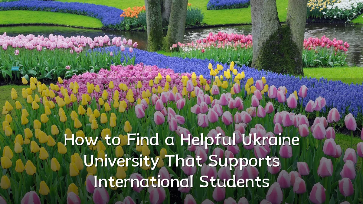 How to Find a Helpful Ukraine University That Supports International Students