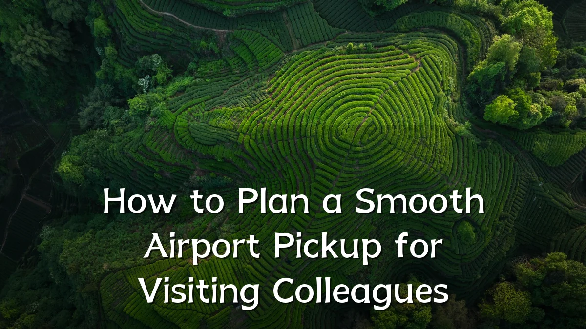 How to Plan a Smooth Airport Pickup for Visiting Colleagues
