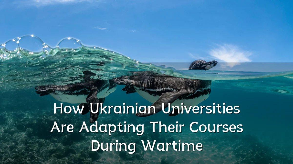 How Ukrainian Universities Are Adapting Their Courses During Wartime