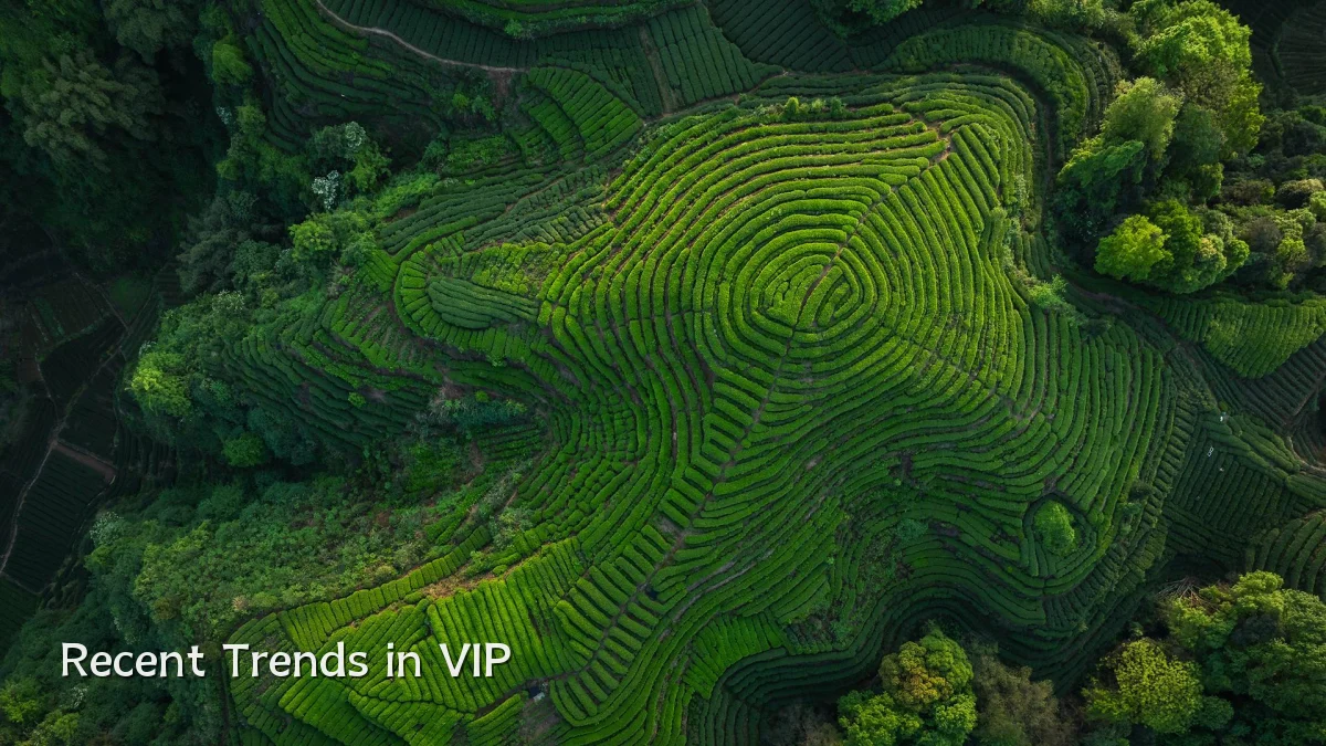 Recent Trends in VIP