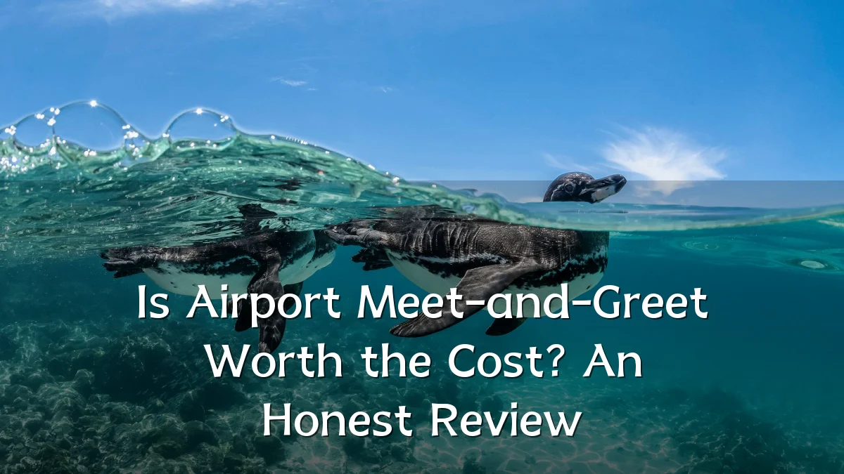 Is Airport Meet-and-Greet Worth the Cost? An Honest Review