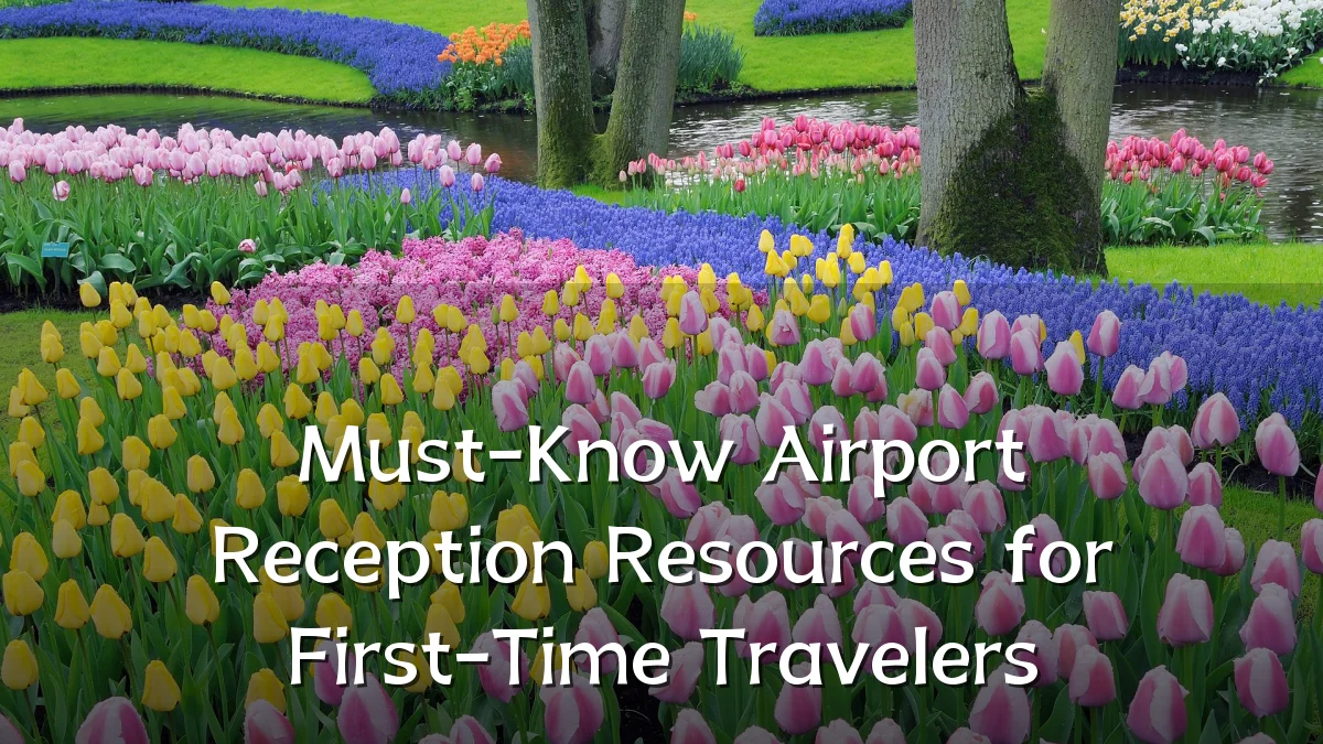 Must-Know Airport Reception Resources for First-Time Travelers