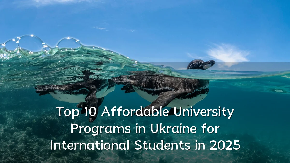 Top 10 Affordable University Programs in Ukraine for International Students in 2025