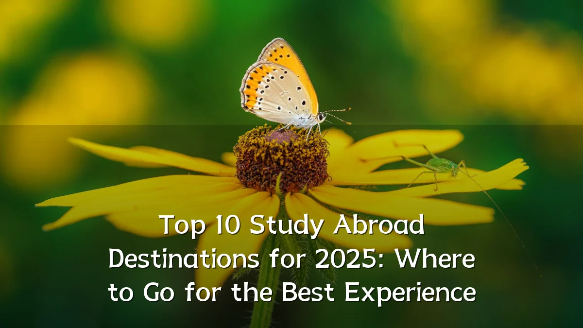 Top 10 Study Abroad Destinations for 2025: Where to Go for the Best Experience