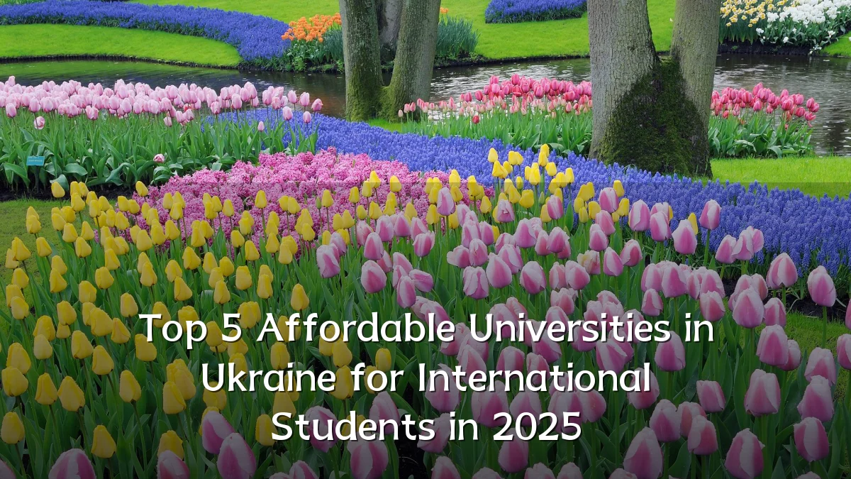 Top 5 Affordable Universities in Ukraine for International Students in 2025