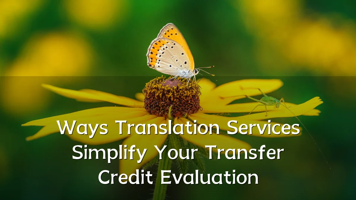 Ways Translation Services Simplify Your Transfer Credit Evaluation