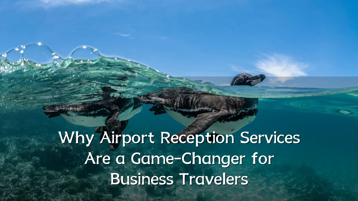 Why Airport Reception Services Are a Game-Changer for Business Travelers